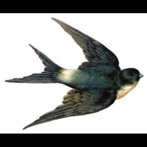 Meet your Posher, Alice